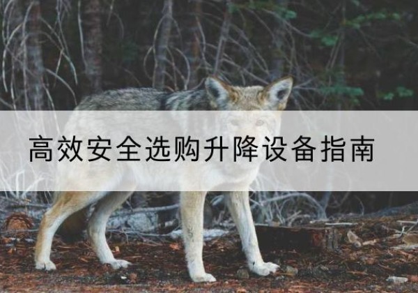 莫力达瓦升降货梯厂家推荐-*安全选购升降设备指南