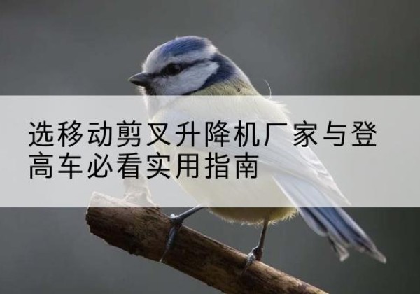莫力达瓦电动升降机厂家-选移动剪叉升降机厂家与登高车必看实用指南