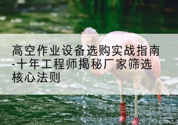 莫力达瓦剪叉式升降机厂家-高空作业设备选购实战指南-十年工程师揭秘厂家筛选核心法则